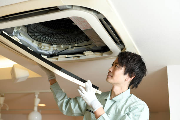 Best Air Duct Cleaning Near Me  in Blue Grass, IA